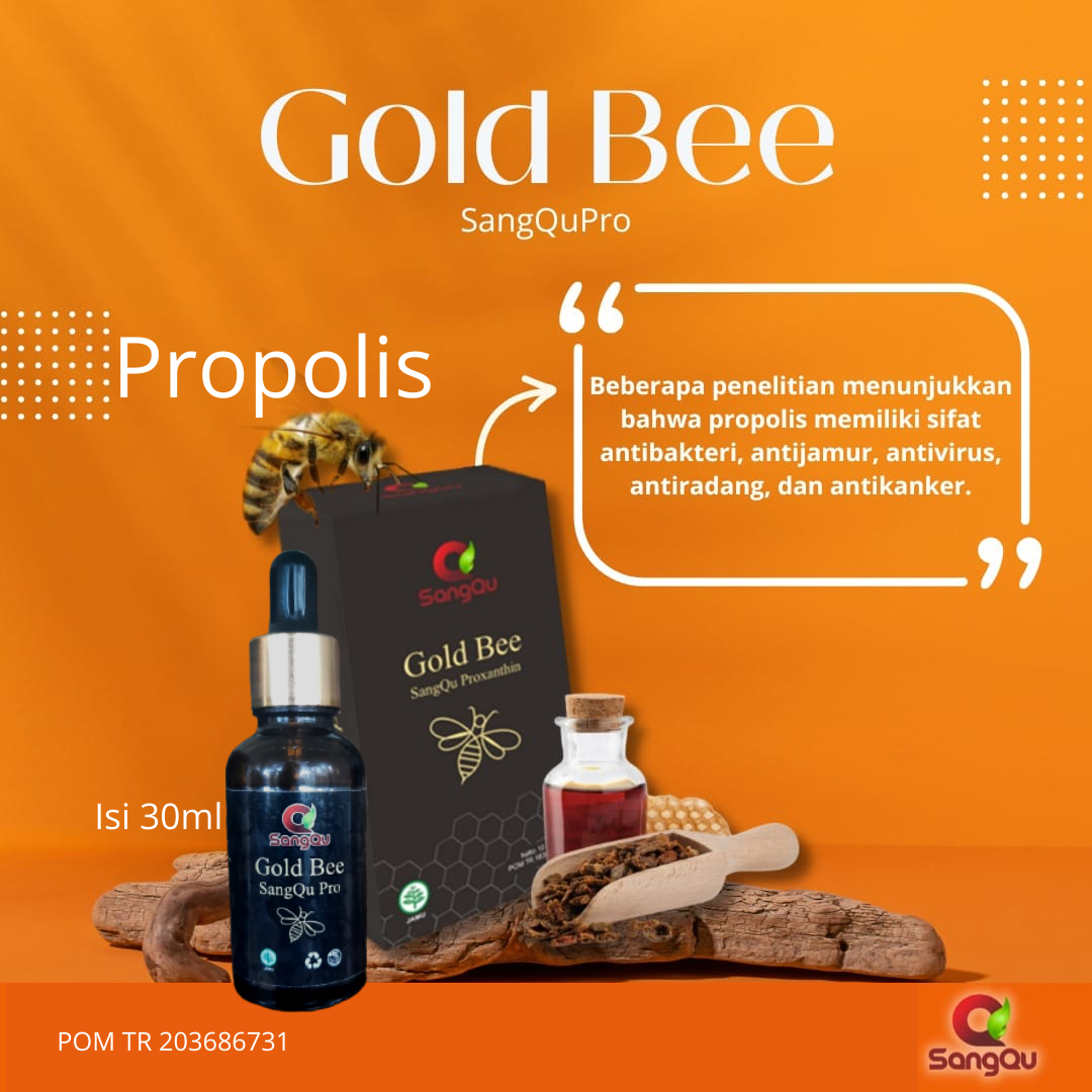 Gold Bee SangQu Pro